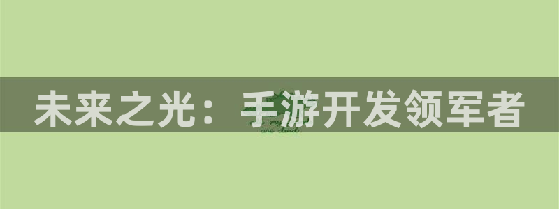 庄闲游戏怎样对付连输：未来之光：手游开发领军者