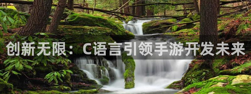 庄闲最稳公式：创新无限：C语言引领手游开发未来