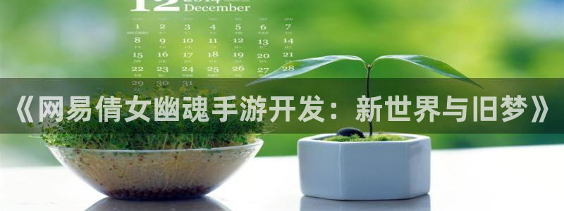 庄闲的游戏叫什么：《网易倩女幽魂手游开发：新世界与旧梦》