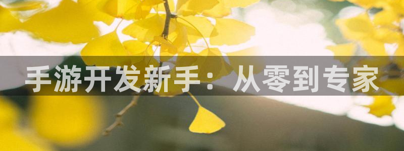 庄闲游戏app：手游开发新手：从零到专家