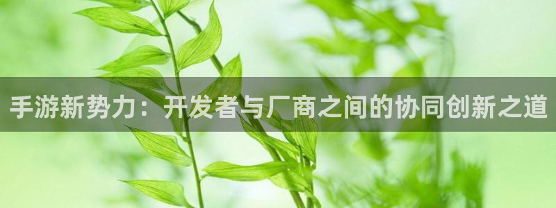 庄闲游戏提取：手游新势力：开发者与厂商之间的协同创新之道