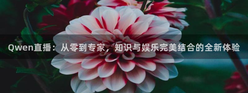 篮球直播so米：Qwen直播：从零到专家，知识与娱乐完美结合的全新体验
