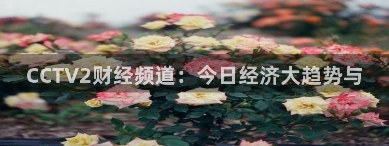 so米直播看球：CCTV2财经频道：今日经济大趋势与