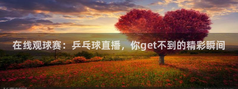 足球so米直播：在线观球赛：乒乓球直播，你get不到的精彩瞬间