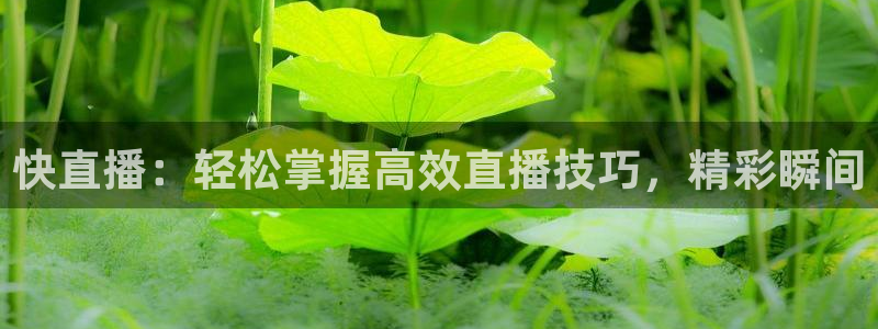 so米直播nba直播：快直播：轻松掌握高效直播技巧，精彩瞬间