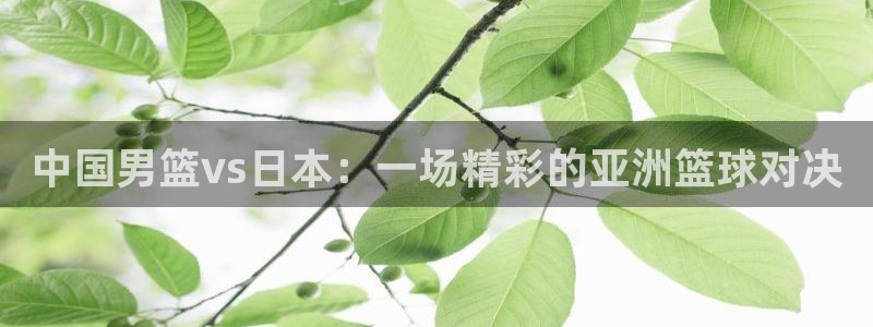 so米体育直播在线观看：中国男篮vs日本：一场精彩的亚洲篮球对决