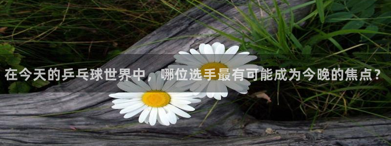 so米体育直播观看：在今天的乒乓球世界中，哪位选手最有可能成为今晚的焦点？