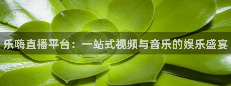 so米直播体育篮球：乐嗨直播平台：一站式视频与音乐的娱乐盛宴