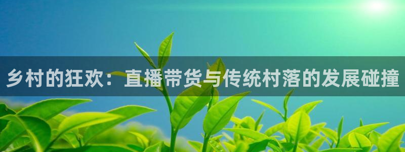so米体育直播nba赛事：乡村的狂欢：直播带货与传统村落的发展碰撞