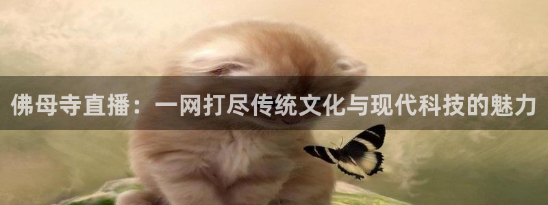 so米体育赛事：佛母寺直播：一网打尽传统文化与现代科技的魅力